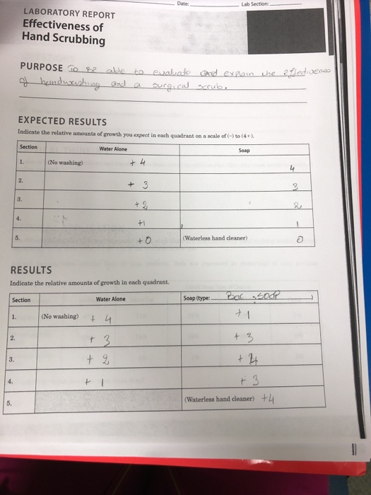 Lab Section LABORATORY REPORT Effectiveness of Hand