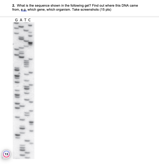 2. What is the sequence shown in the following gel? | Chegg.com