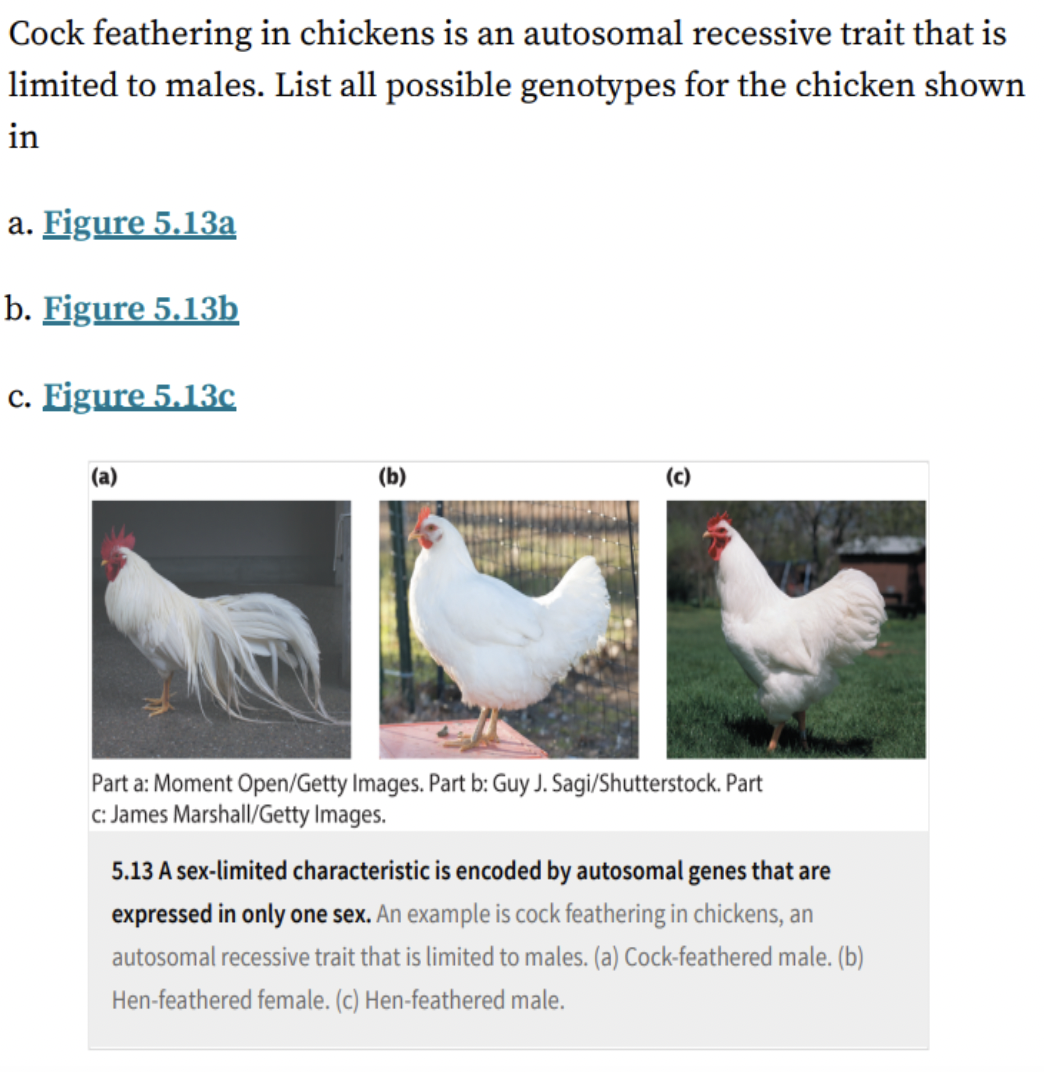 Solved Cock feathering in chickens is an autosomal recessive | Chegg.com