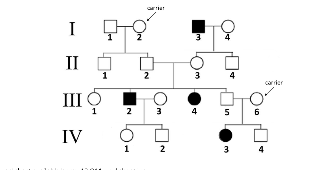 solved-the-following-is-a-pedigree-for-a-family-that-has-chegg