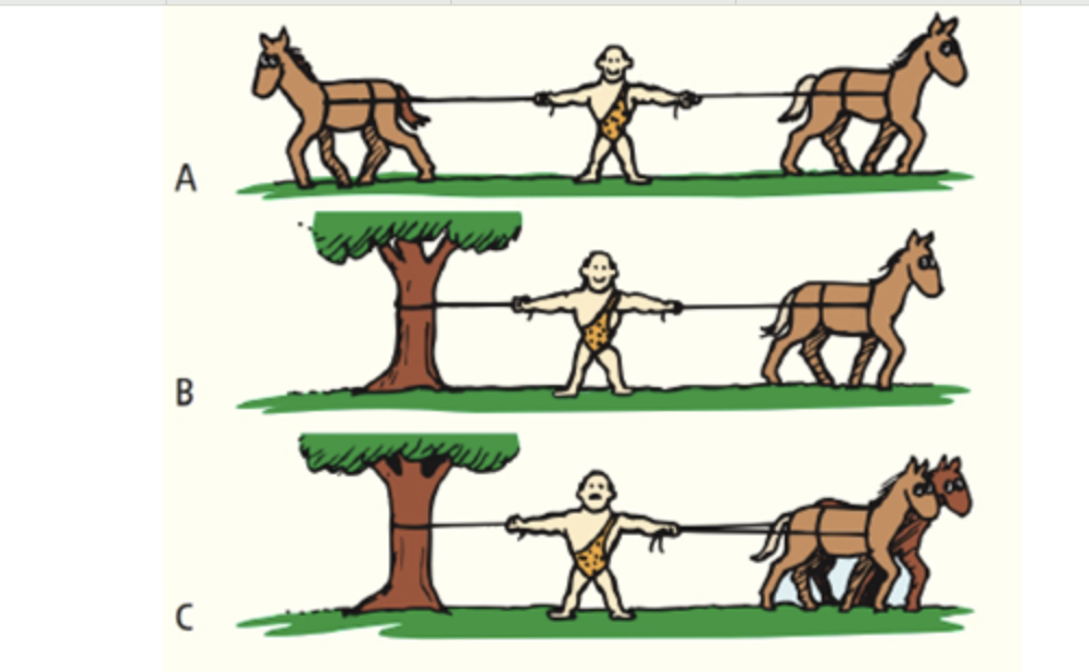 Solved Rank the amount of tension in the rope in his right | Chegg.com