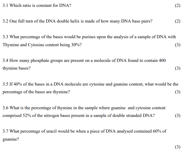 Solved 3.1 Which ratio is constant for DNA? 3.2 One full | Chegg.com