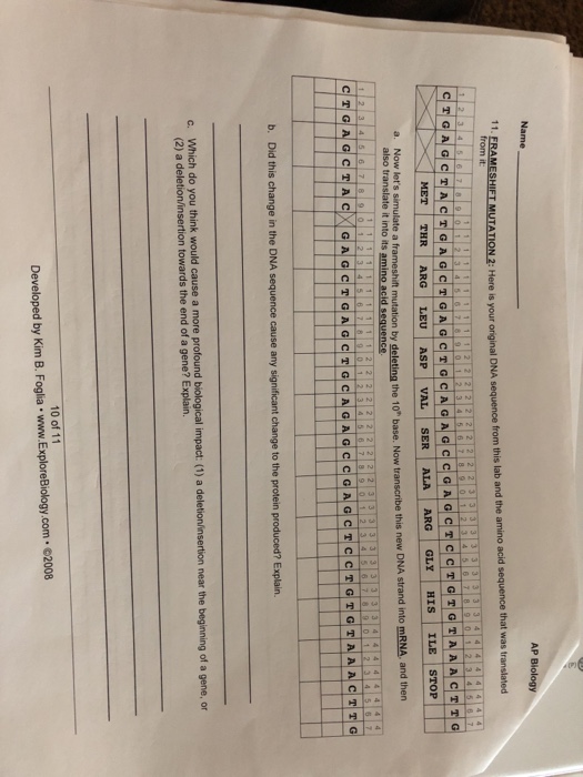 Solved AP Biology Name 11. FRAMESHIFT fromMUTATION 2 Here