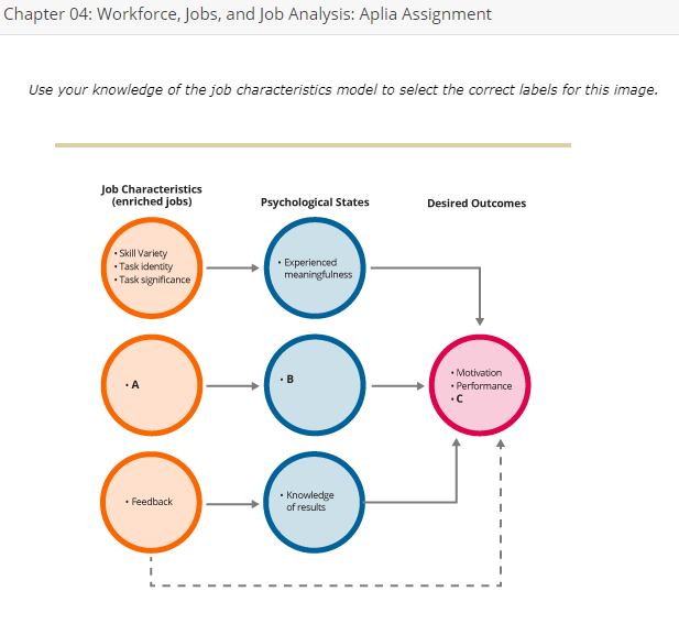 solved-chapter-04-workforce-jobs-and-job-analysis-aplia-chegg