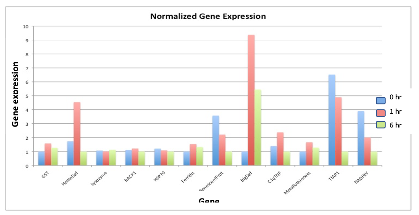Solved 12) The graph above shows gene expression data for | Chegg.com