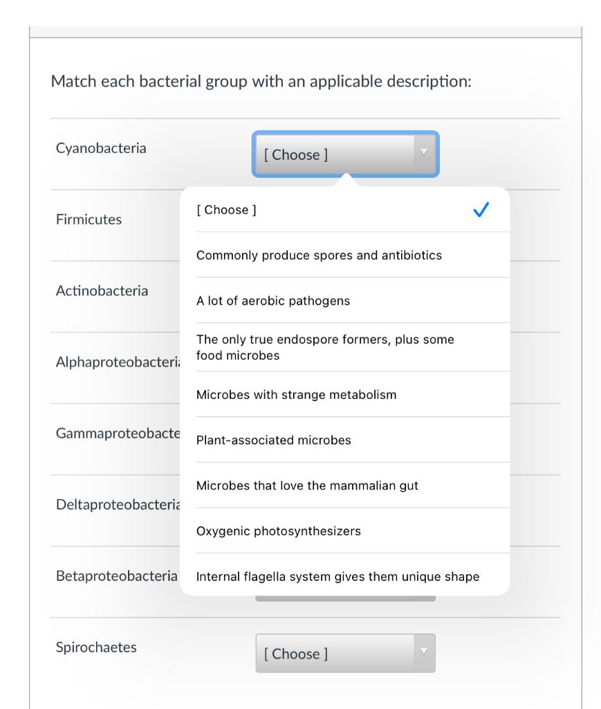 Solved Match Each Bacterial Group With An Applicable | Chegg.com