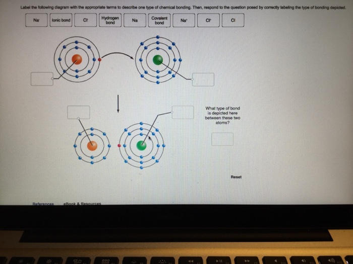 Solved label the following diagram with the appropriate