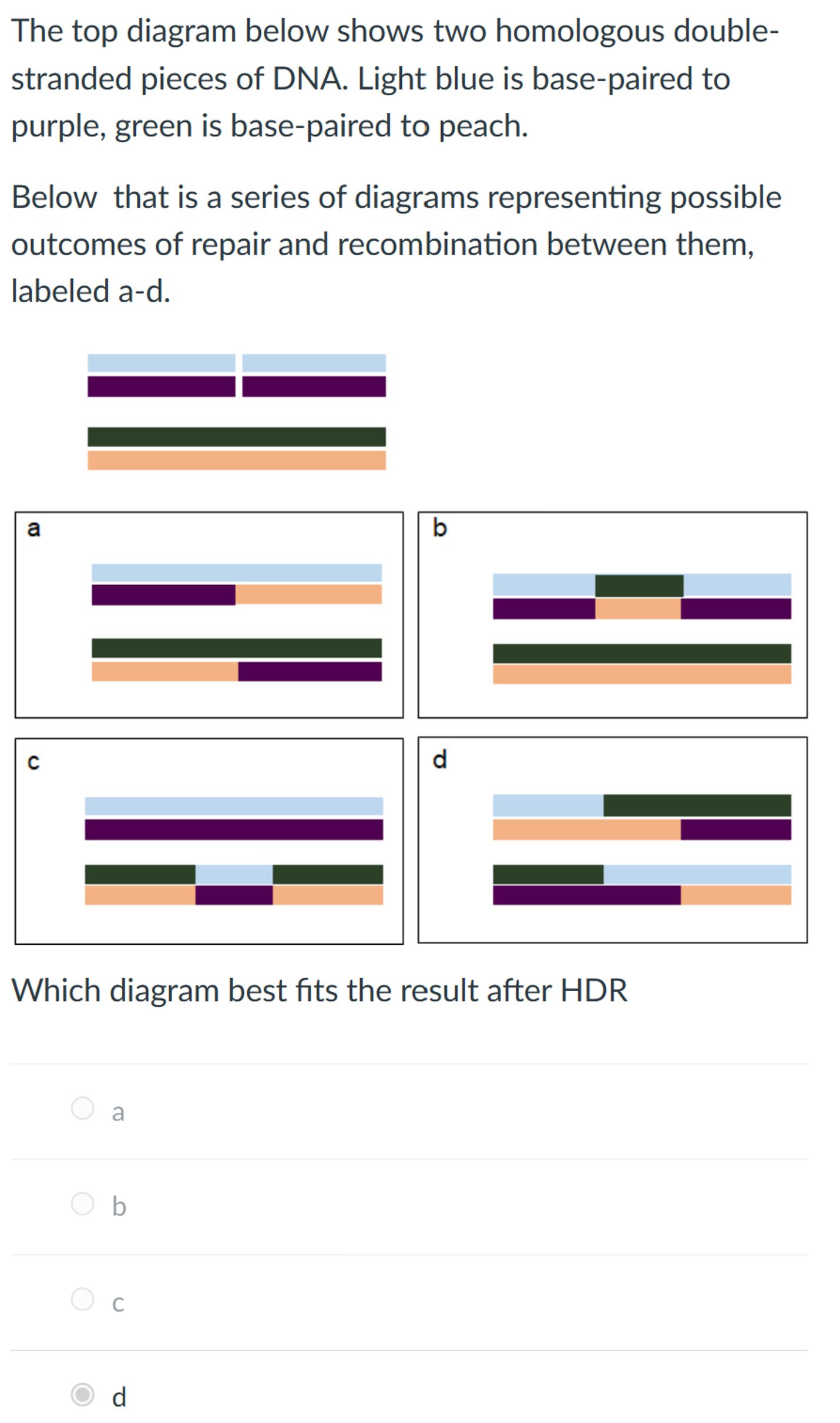 Solved The top diagram below shows two homologous | Chegg.com