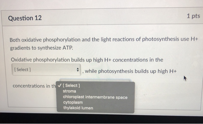 Solved DQuestion 7 1 pts A tomato plant is growing in a | Chegg.com