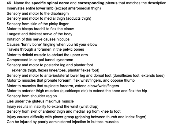 46. Name the specific spinal nerve and corresponding | Chegg.com