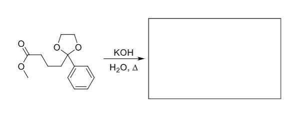 Solved H2O,Δ KOH | Chegg.com