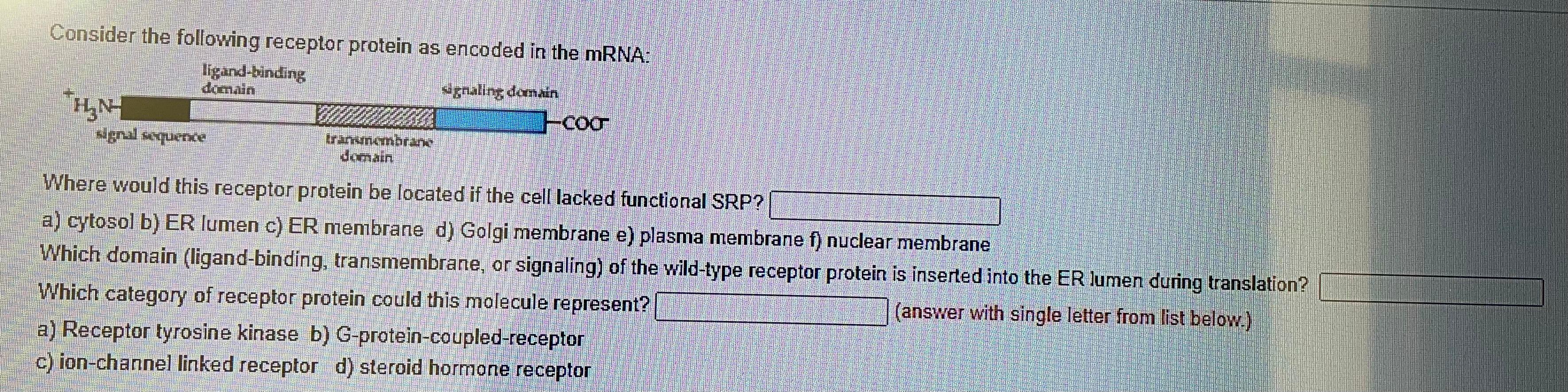 Solved Consider the following receptor protein as encoded in | Chegg.com
