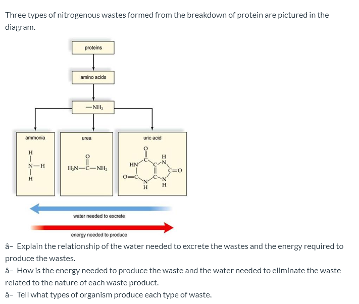 Solved Three types of nitrogenous wastes formed from the | Chegg.com