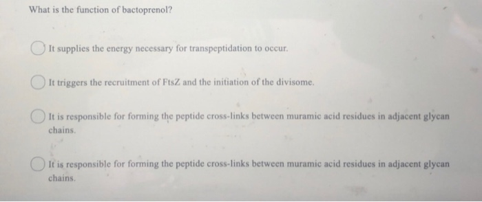 Solved What is the function of bactoprenol? It supplies the | Chegg.com