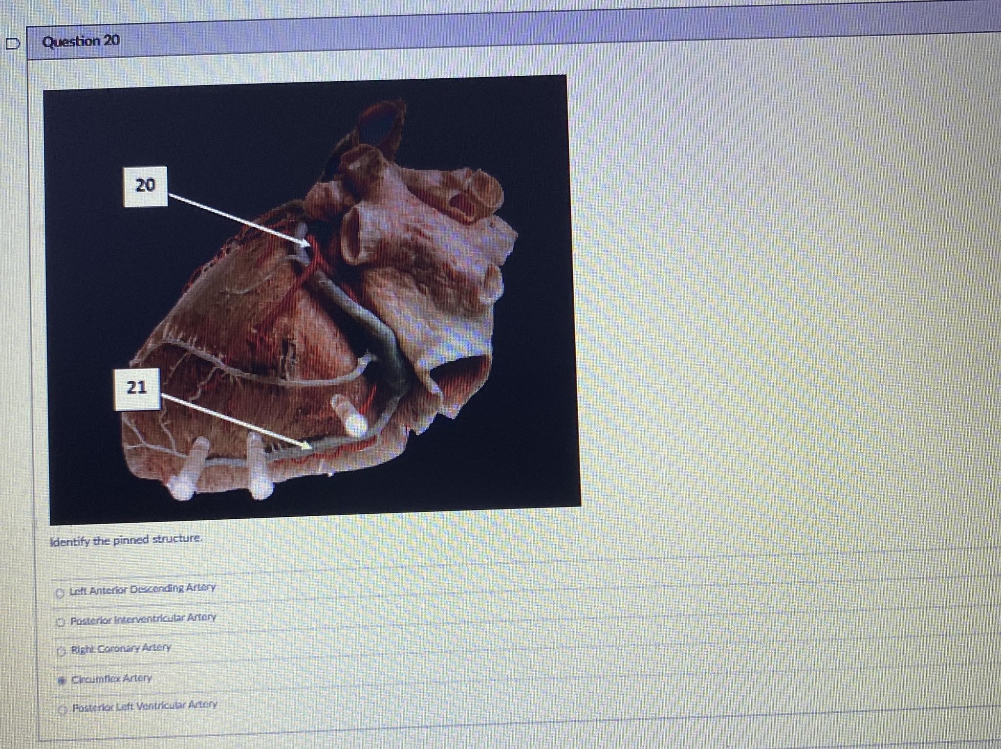 Solved Using the photos below, provide the correct answers | Chegg.com