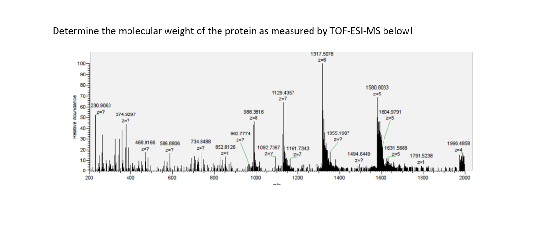Solved Determine the molecular weight of the protein as | Chegg.com