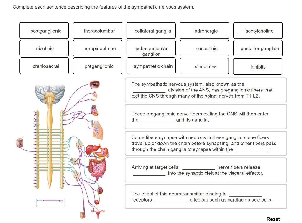 solved-complete-each-sentence-describing-the-features-of-the-chegg