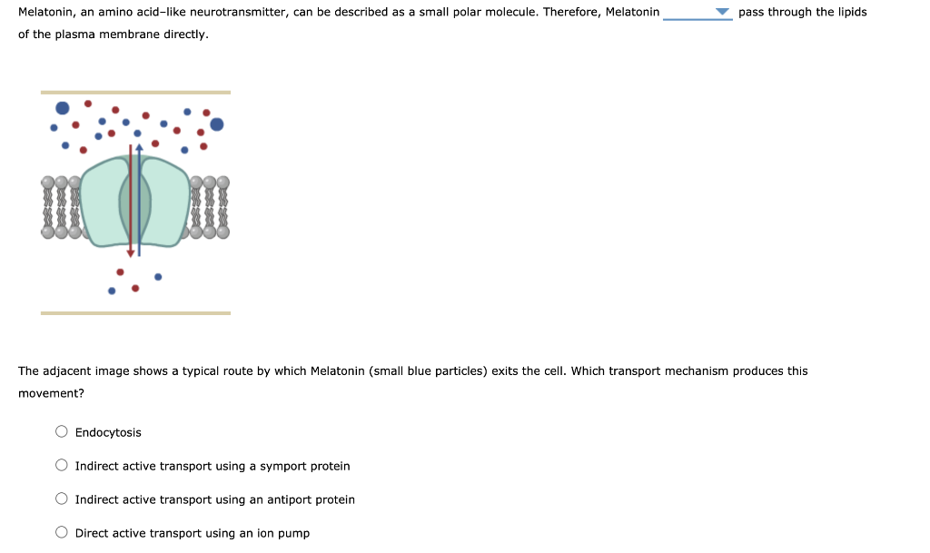 Solved 2. Comparing passive and active transport The