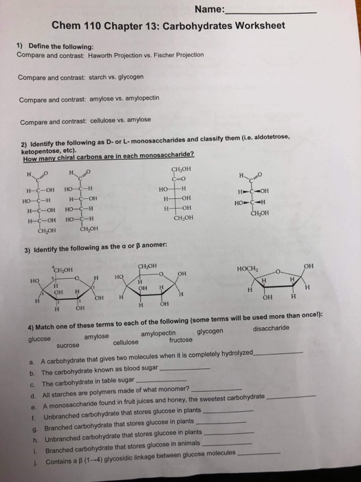 Carbohydrates Worksheet Answers - Printable Word Searches