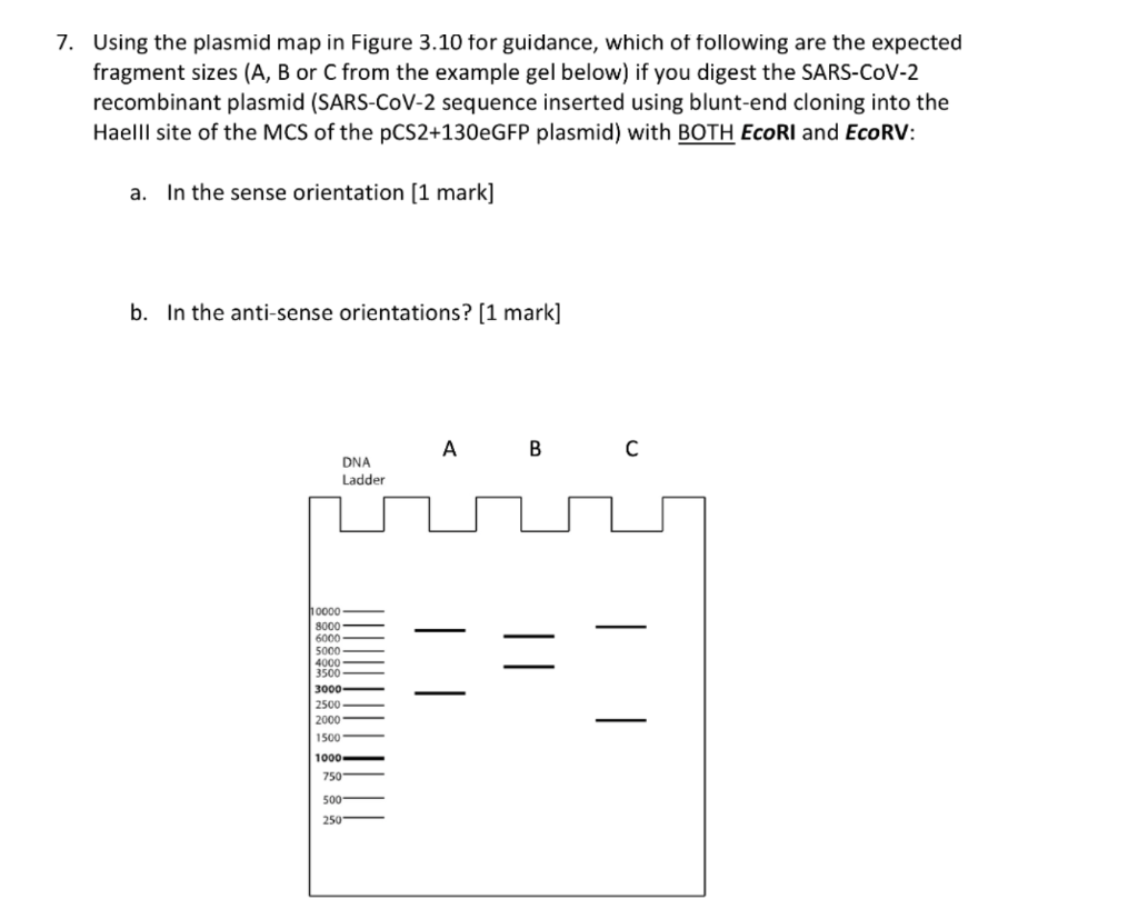 Solved 7. Using the plasmid map in Figure 3.10 for guidance, | Chegg.com