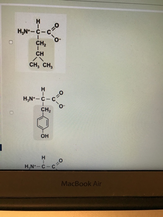 Solved Which of the amino acids below would be classified as | Chegg.com