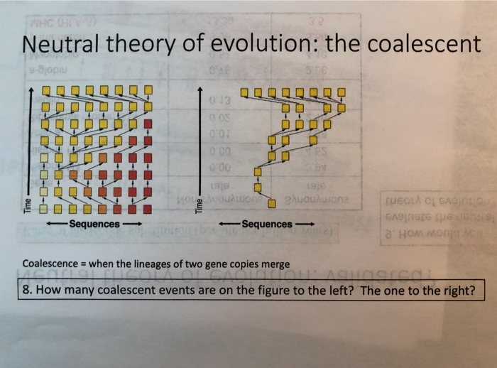 Solved Neutral Theory Of Evolution The Coalescent 045 13 Es Chegg Solved Neutral Theory Of Evolution The Coalescent 045 13 Es Chegg