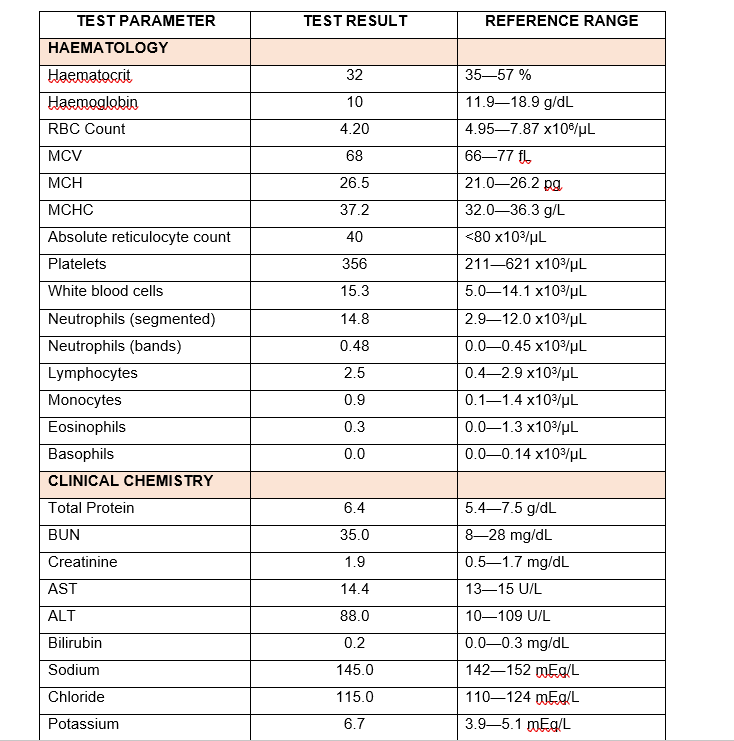 what is retic in dog blood test