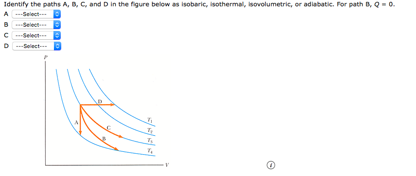 Solved Identify The Paths A, B, C, And D In The Figure Below | Chegg.com