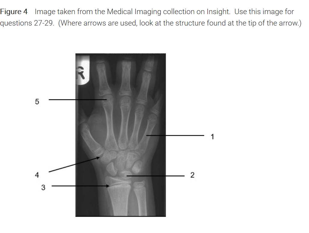 Solved Figure 4 Image taken from the Medical Imaging
