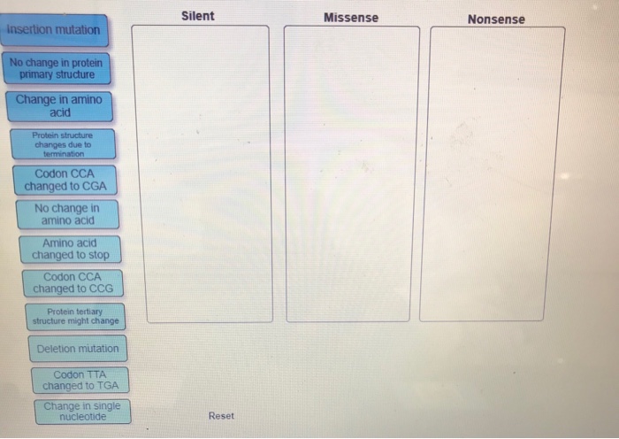 Solved Place the labels in the correct column. Some labels | Chegg.com