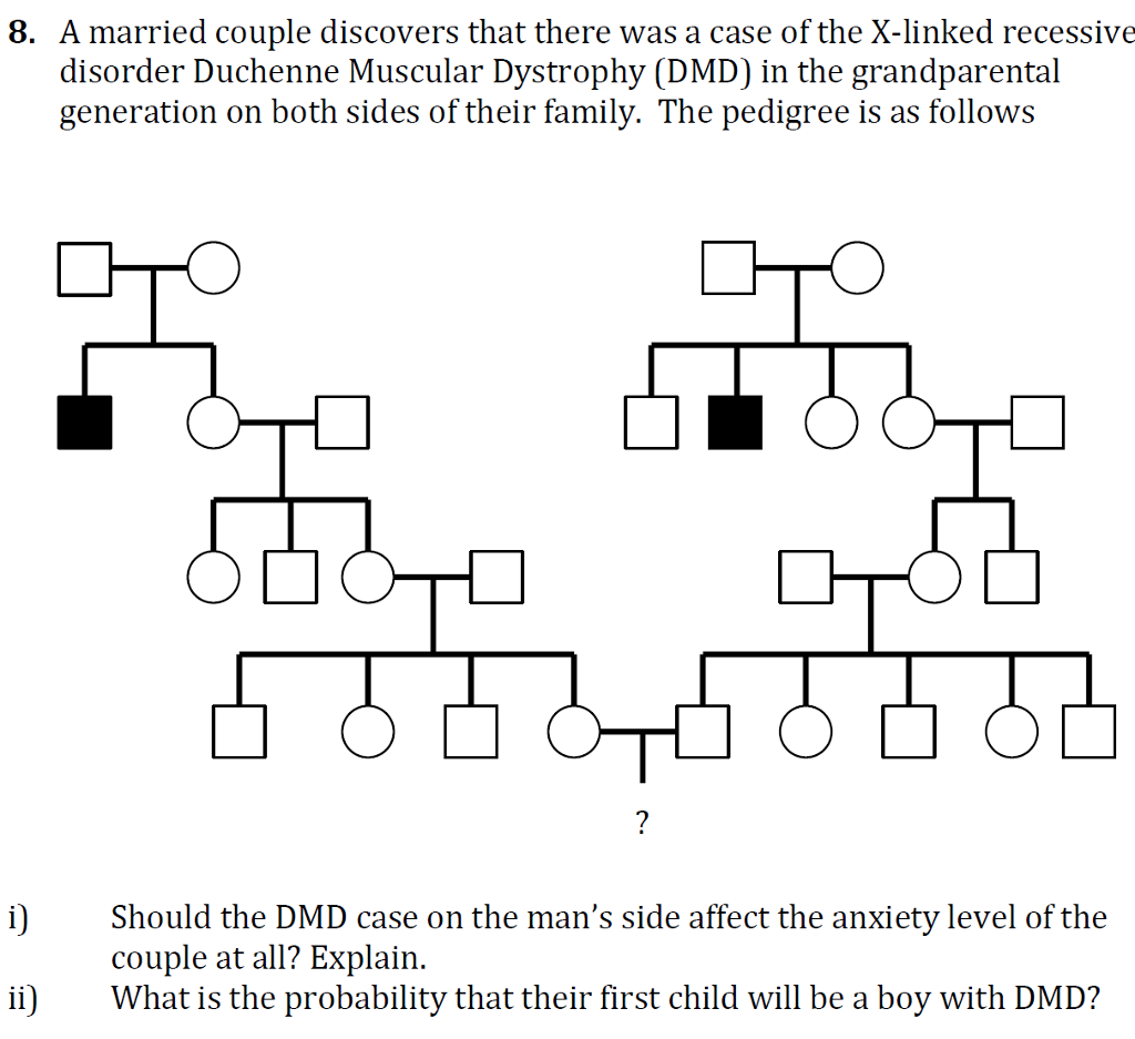 Muscular Dystrophy Pedigree Chart Answers: A Visual Reference of Charts ...