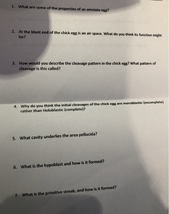 Solved 1. What are some of the properties of an amniote egg? | Chegg.com