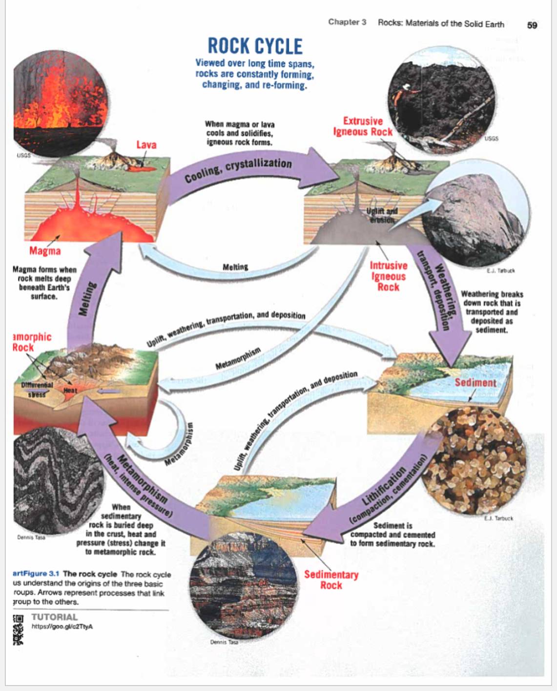 Solved Question 1: Using the rock cycle shown in Figure | Chegg.com