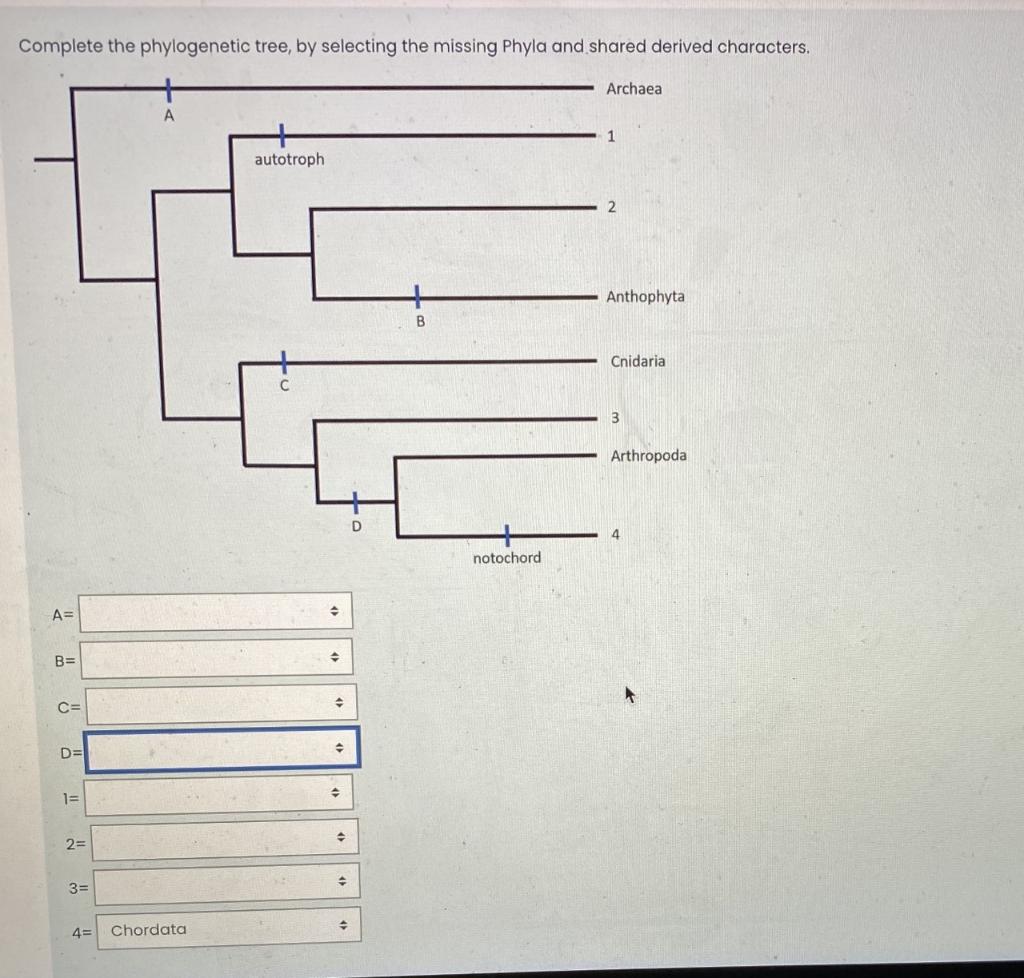 Solved Complete The Phylogenetic Tree, By Selecting The | Chegg.com