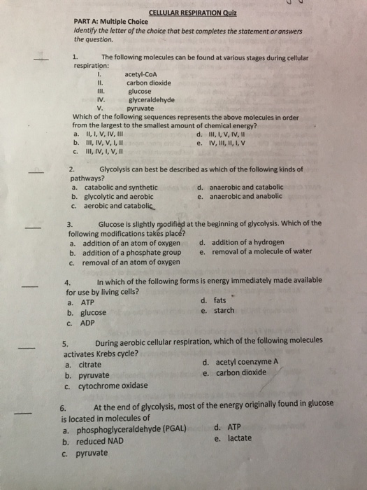 Solved PART A: Multiple Choice Identify the letter of the | Chegg.com