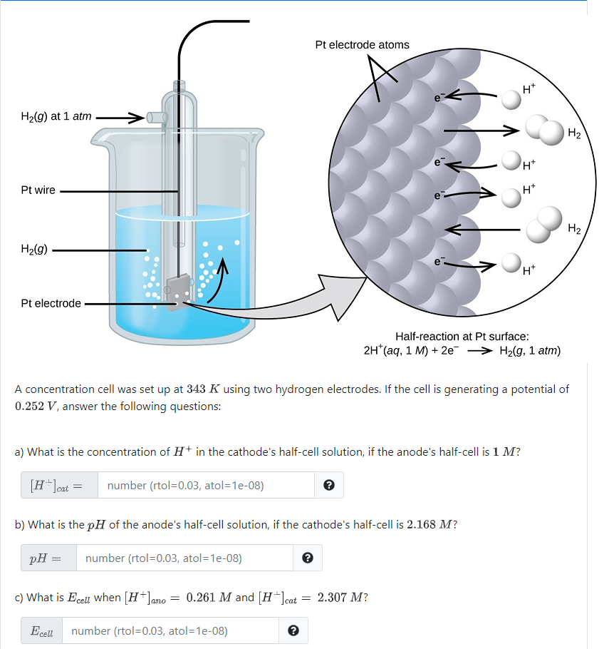 Solved Pt electrode atoms HT H2(9) at 1 atm H2 e Ht Pt wire | Chegg.com