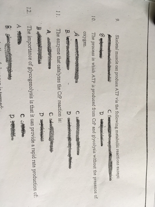 Solved Skeletal muscle can produce ATP via the following | Chegg.com