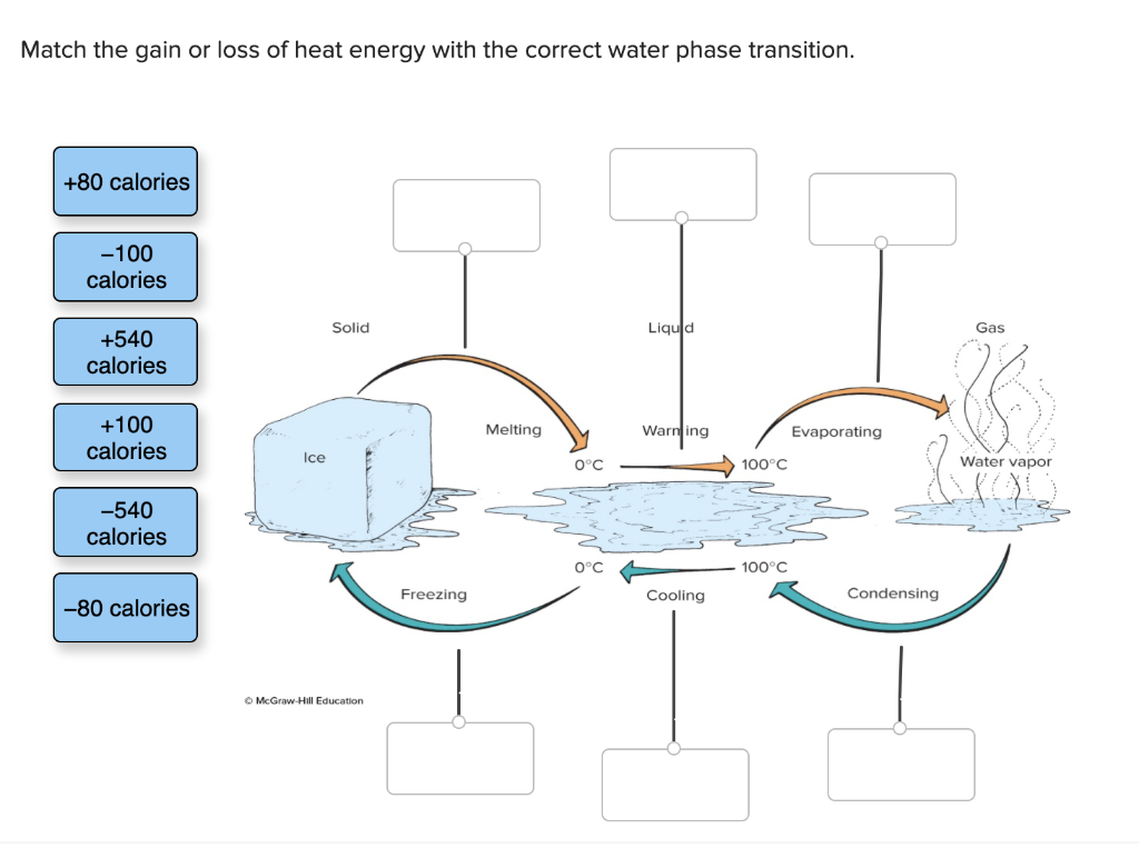 Solved Match the gain or loss of heat energy with the
