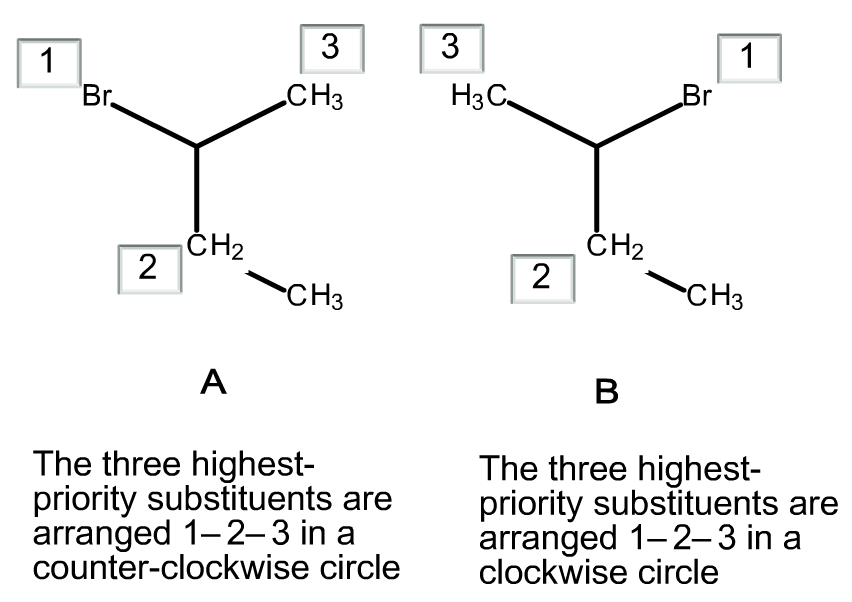 You still have a molecule in your hand and the | Chegg.com