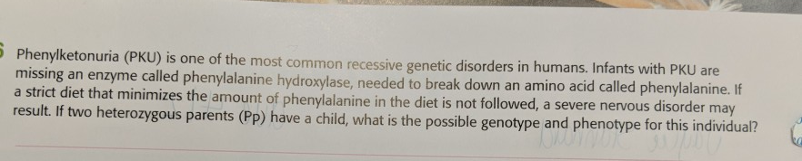 Illustration representing Phenylketonuria (PKU)