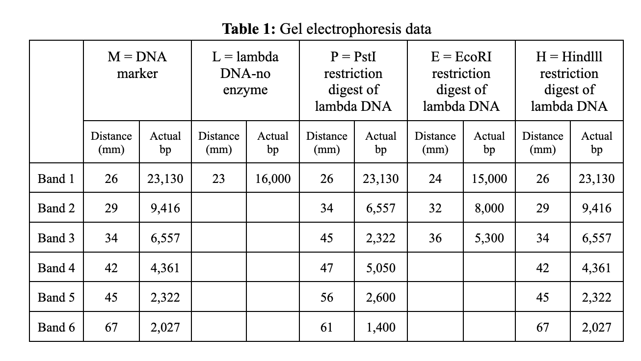 Solved Discuss the results of the restriction digestion and | Chegg.com