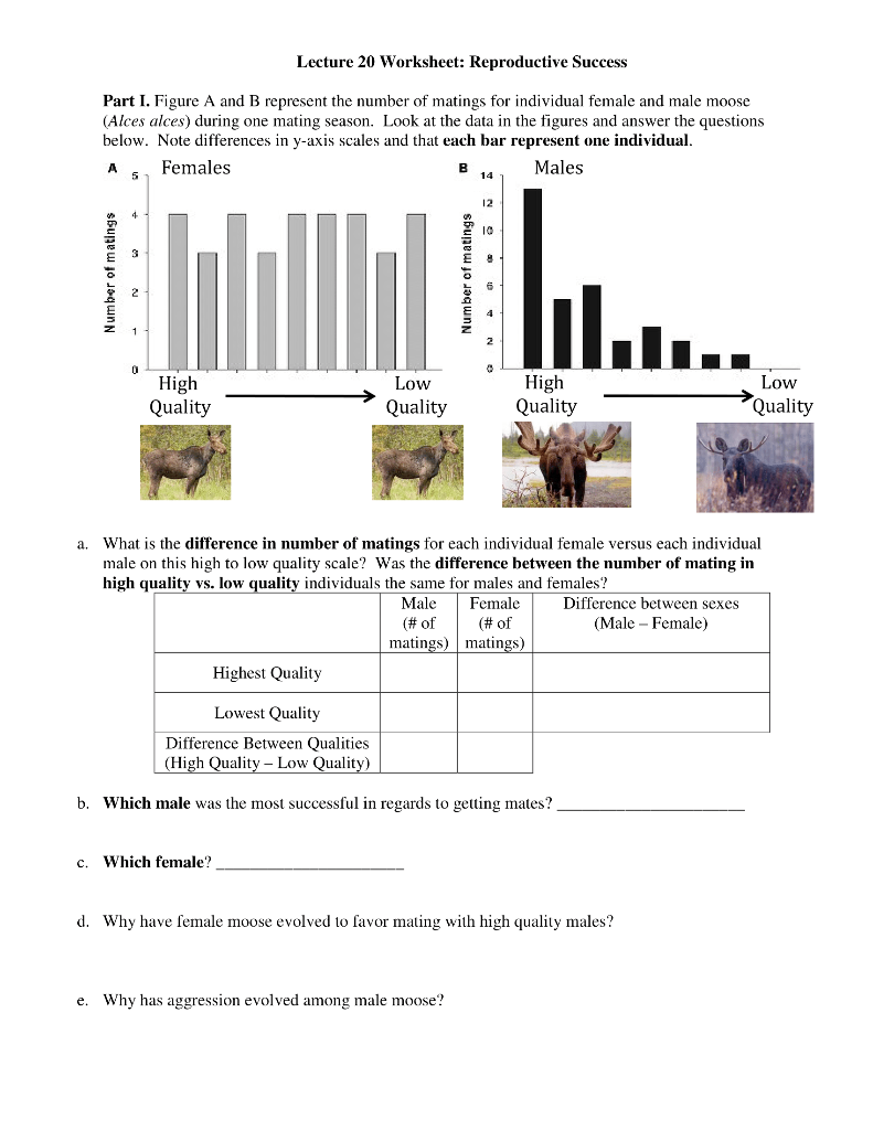 Reproduceability Worksheet Solved Lecture 20 Worksheet: Reproductive Success Part I. | Chegg.com