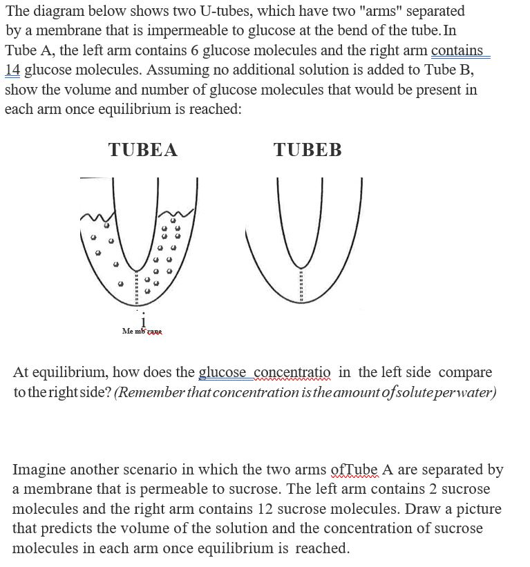 Solved The diagram below shows two U-tubes, which have two | Chegg.com