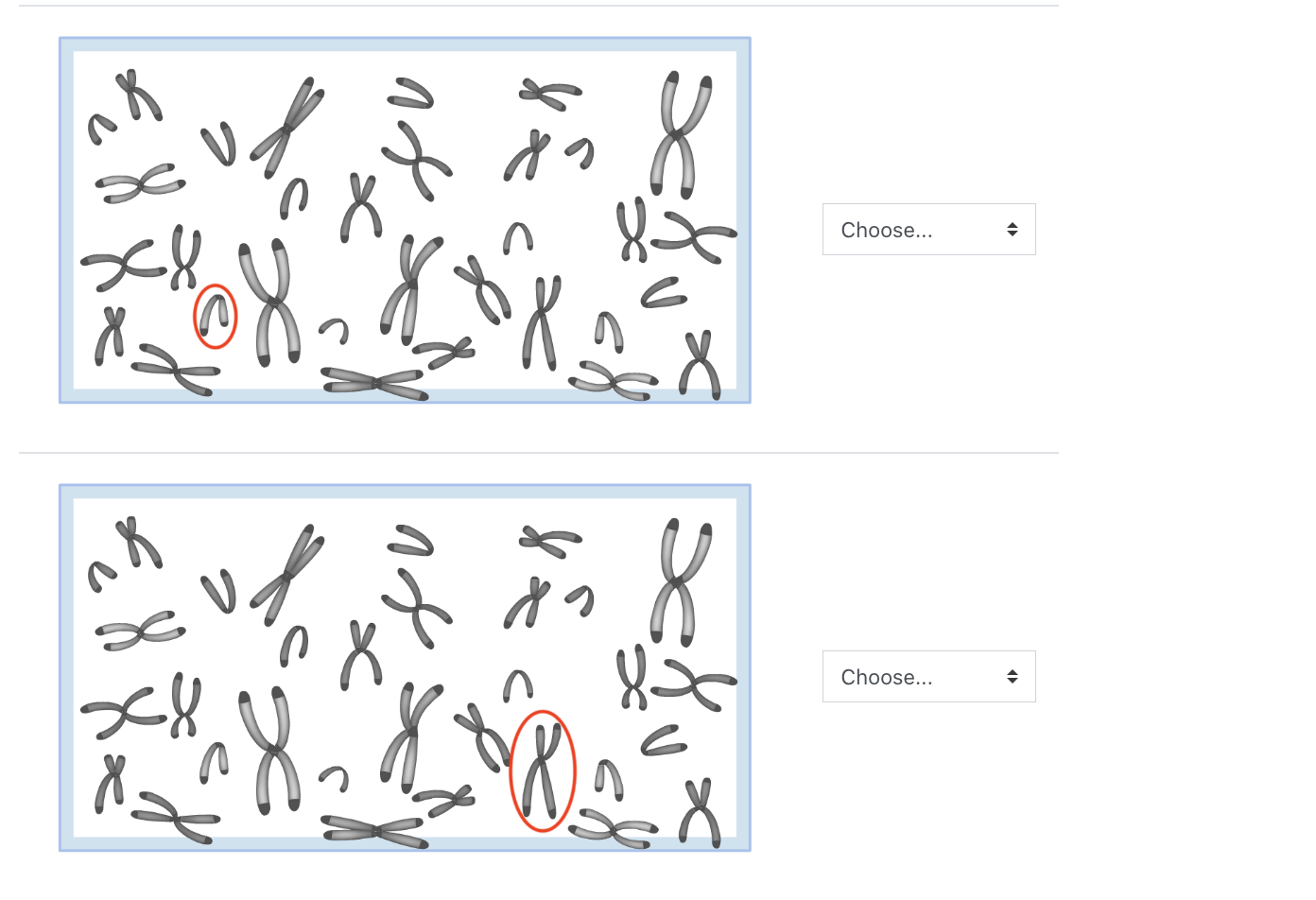 Solved You are given the karyotype below and you are asked | Chegg.com