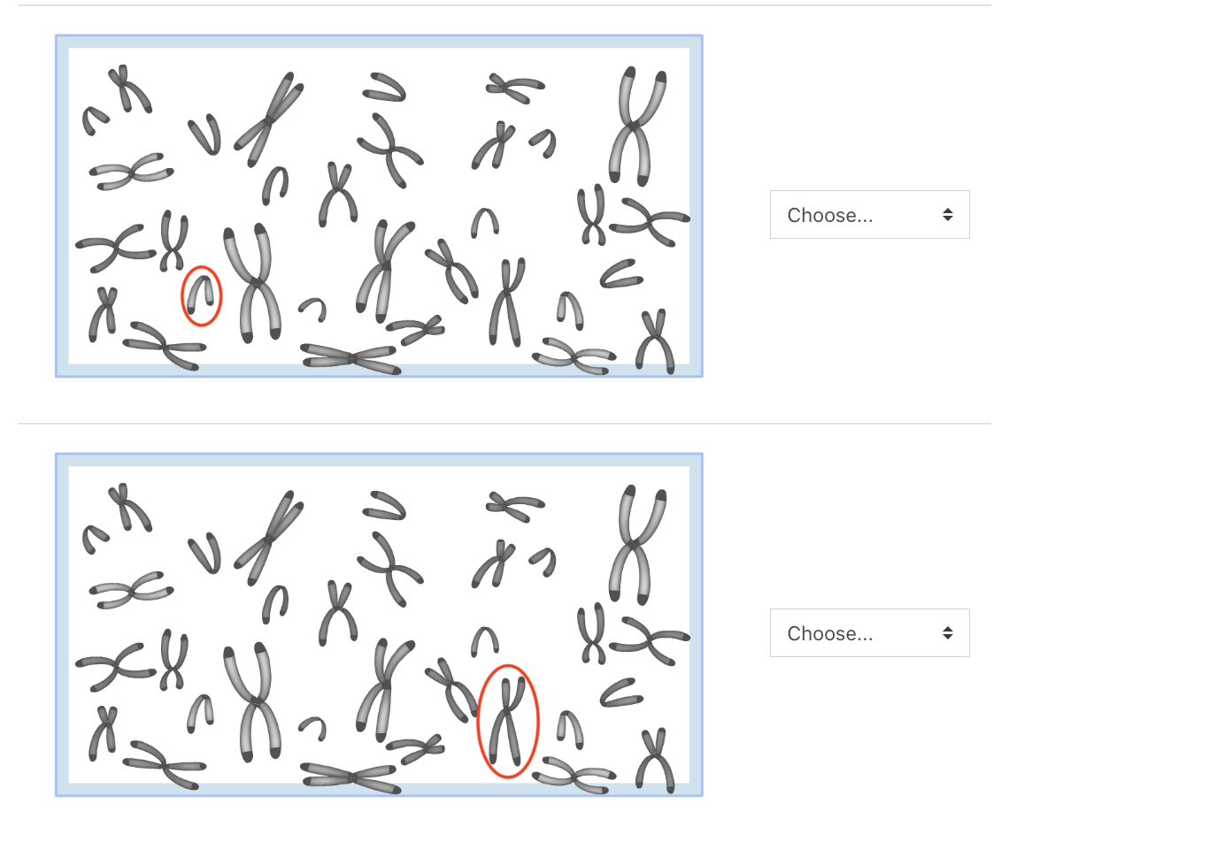 Solved You Are Given The Karyotype Below And You Are Asked | Chegg.com