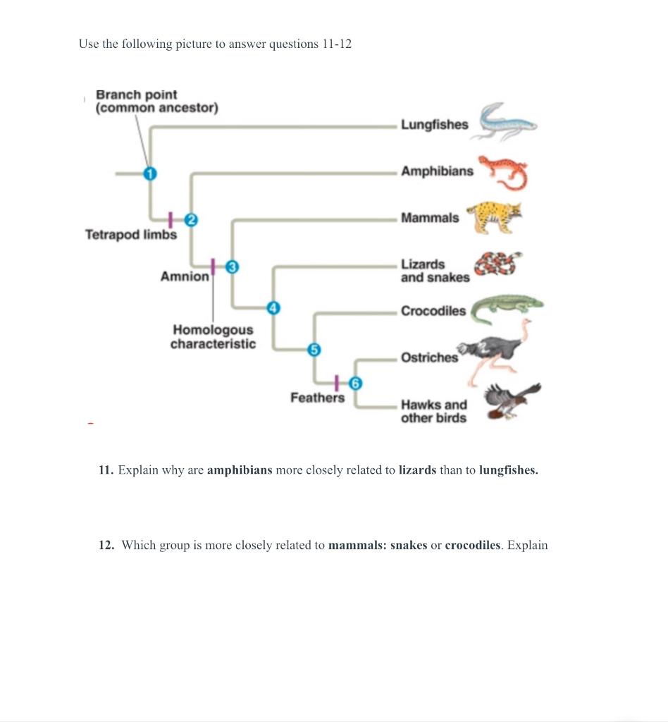 Solved Use the following picture to answer questions 11-12 | Chegg.com