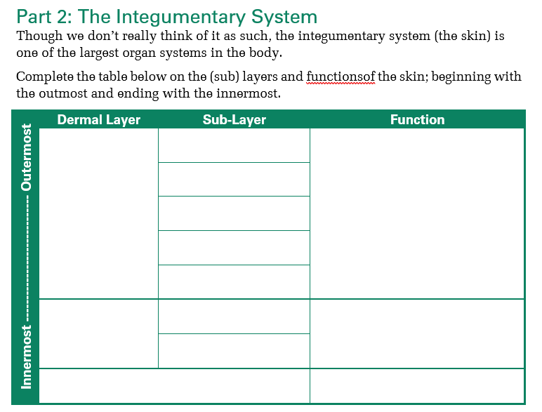 Solved Part 2: The Integumentary System Though we don't | Chegg.com