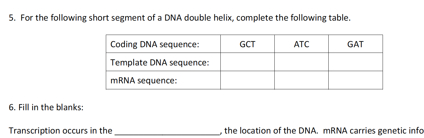 Solved 5. For the following short segment of a DNA double | Chegg.com