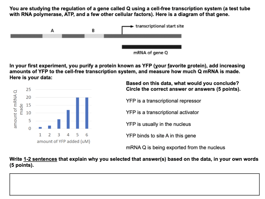 solved-you-are-studying-the-regulation-of-a-gene-called-q-chegg