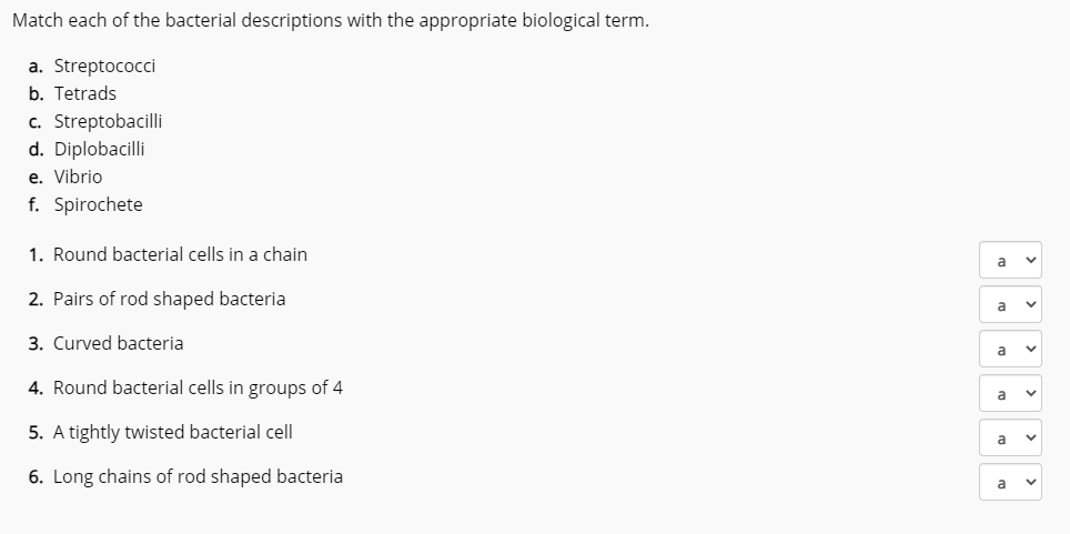 Solved Match each of the bacterial descriptions with the | Chegg.com